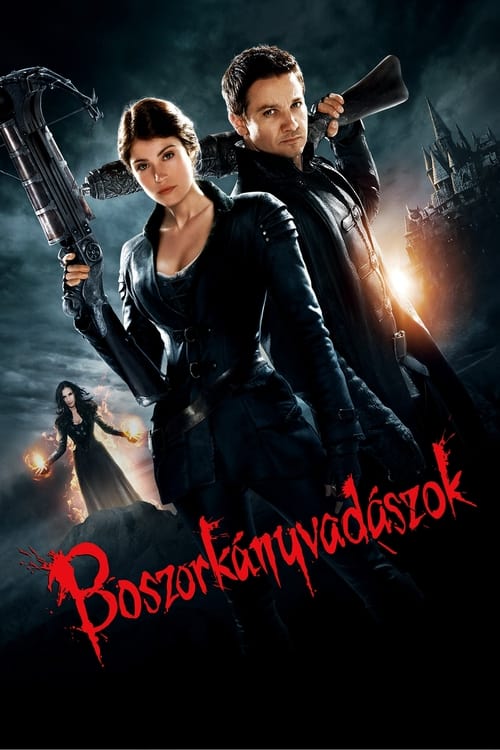 Film Poster