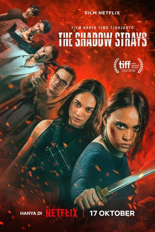 Film Poster